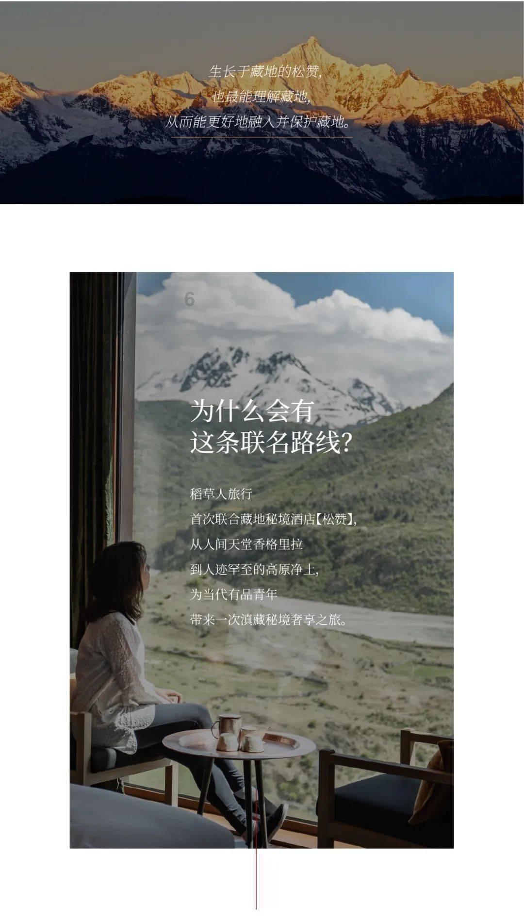 迷雾求生